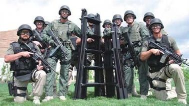 نردبان حمله تاکتیکی انعطاف پذیر برای ارتش / SWAT / اجرای قانون، 2.4 متر ارتفاع فرمت